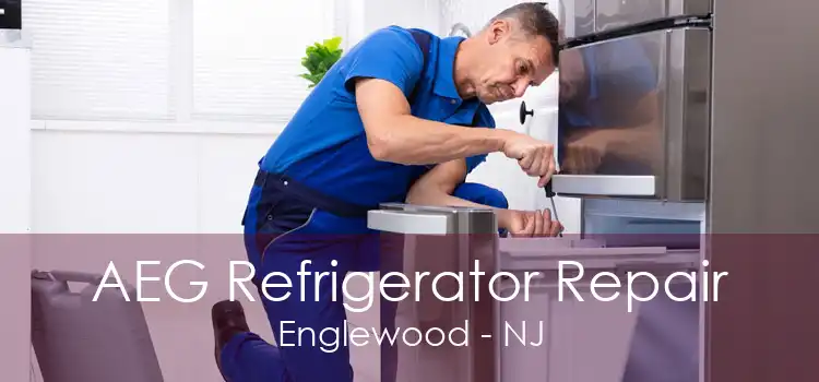 AEG Refrigerator Repair Englewood - NJ