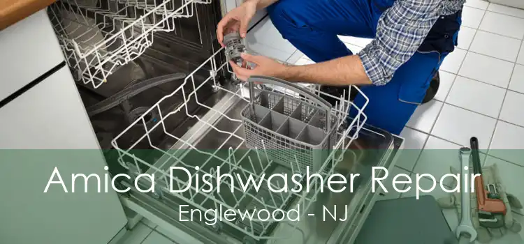 Amica Dishwasher Repair Englewood - NJ