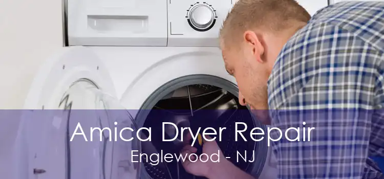 Amica Dryer Repair Englewood - NJ