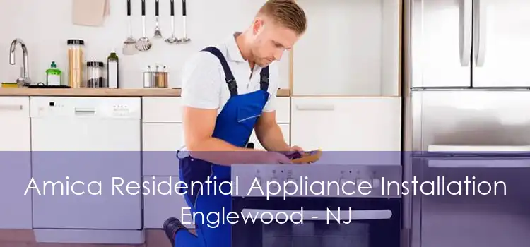 Amica Residential Appliance Installation Englewood - NJ