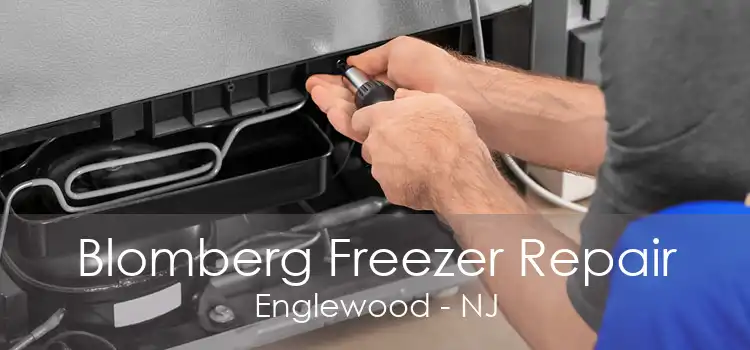 Blomberg Freezer Repair Englewood - NJ