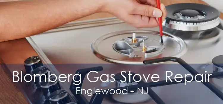 Blomberg Gas Stove Repair Englewood - NJ