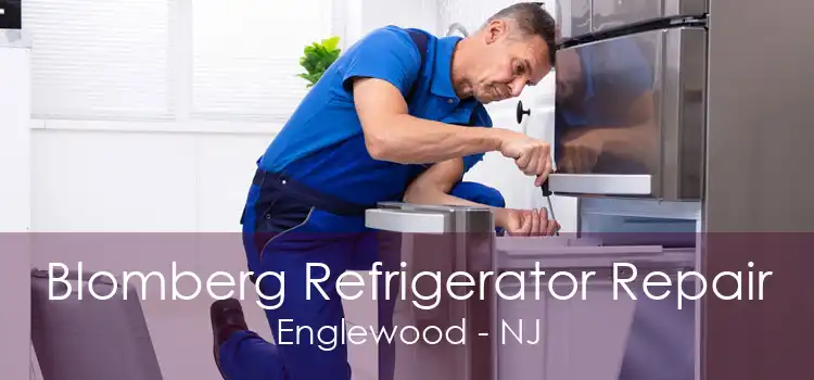 Blomberg Refrigerator Repair Englewood - NJ