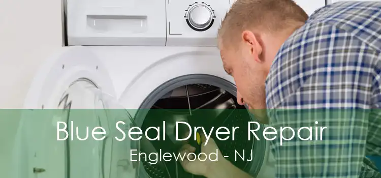 Blue Seal Dryer Repair Englewood - NJ