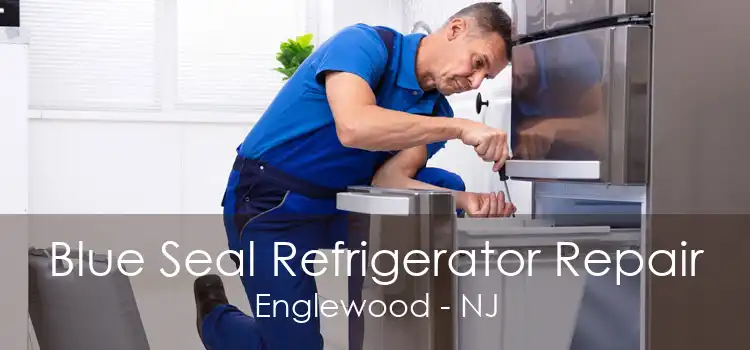 Blue Seal Refrigerator Repair Englewood - NJ