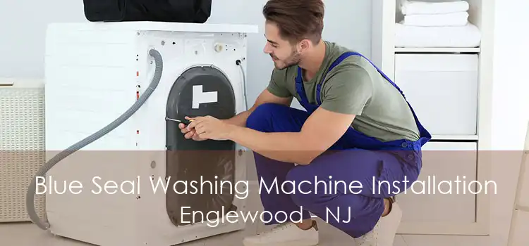 Blue Seal Washing Machine Installation Englewood - NJ