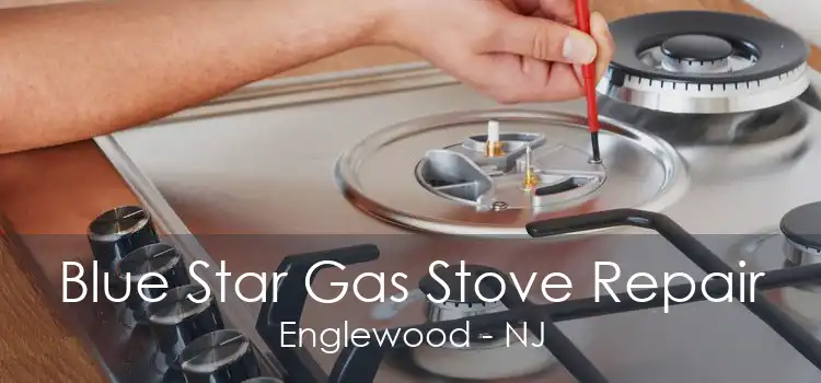 Blue Star Gas Stove Repair Englewood - NJ