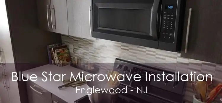 Blue Star Microwave Installation Englewood - NJ