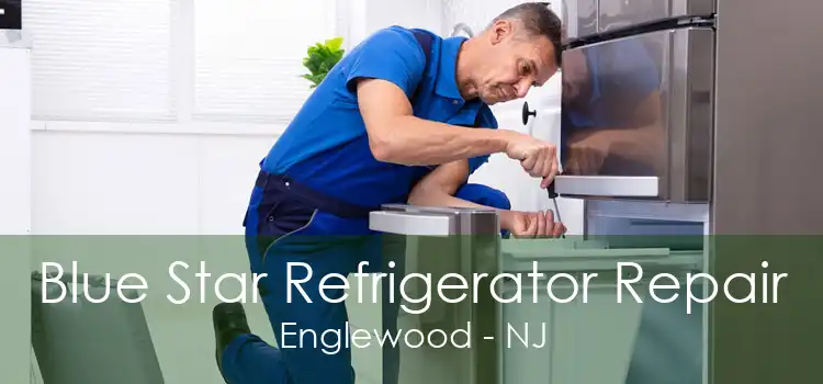 Blue Star Refrigerator Repair Englewood - NJ