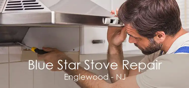 Blue Star Stove Repair Englewood - NJ
