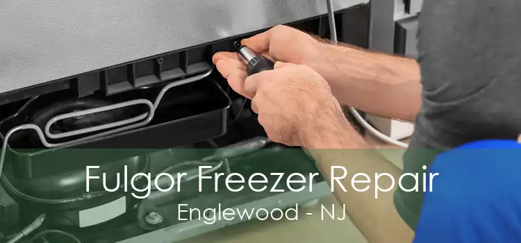 Fulgor Freezer Repair Englewood - NJ