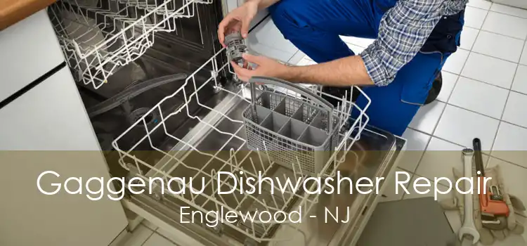 Gaggenau Dishwasher Repair Englewood - NJ