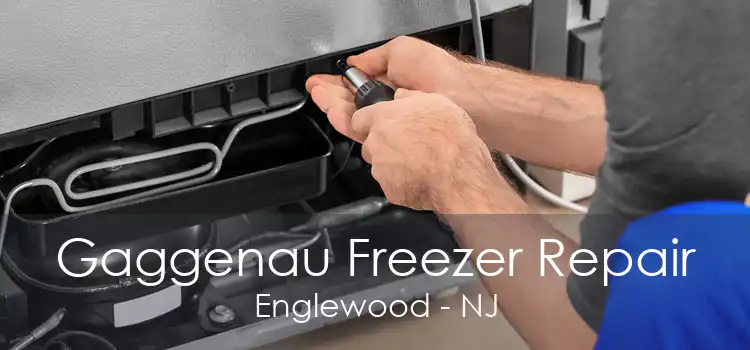 Gaggenau Freezer Repair Englewood - NJ