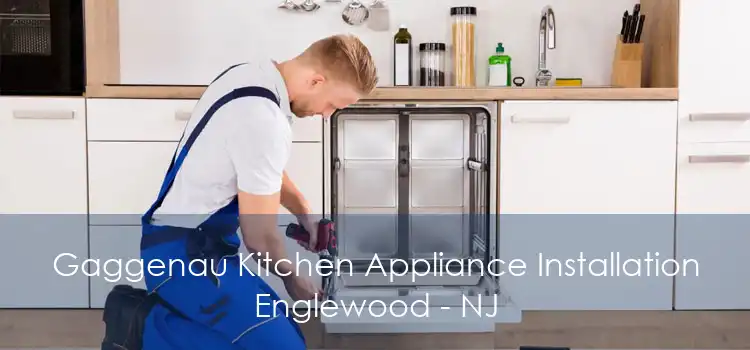 Gaggenau Kitchen Appliance Installation Englewood - NJ