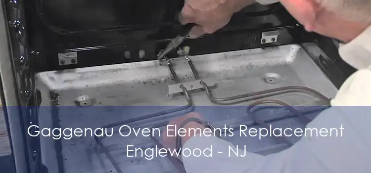 Gaggenau Oven Elements Replacement Englewood - NJ