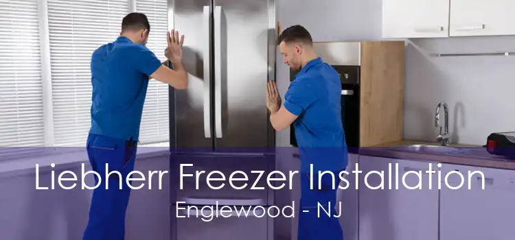 Liebherr Freezer Installation Englewood - NJ