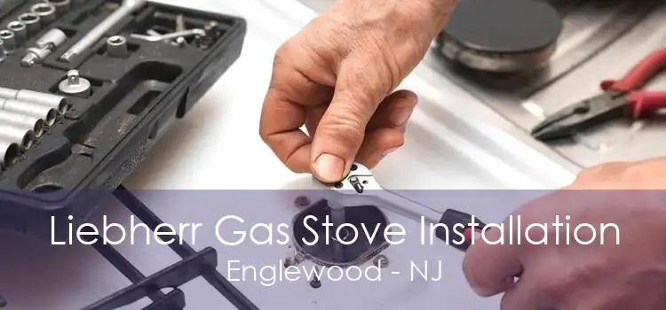 Liebherr Gas Stove Installation Englewood - NJ