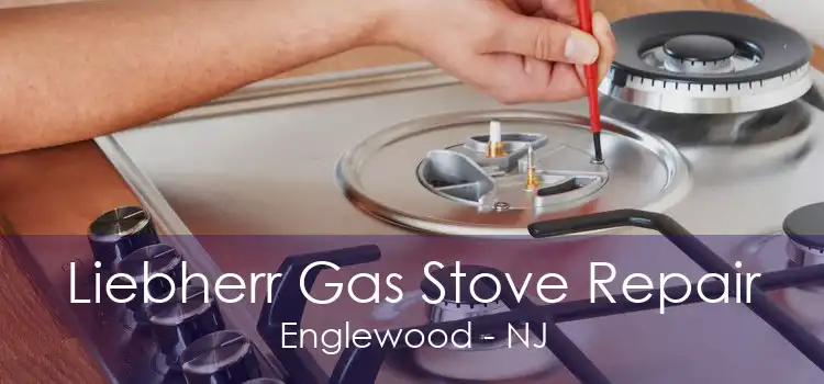 Liebherr Gas Stove Repair Englewood - NJ