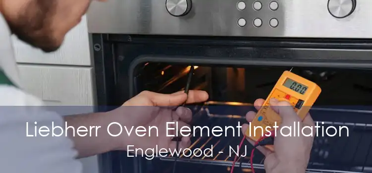 Liebherr Oven Element Installation Englewood - NJ
