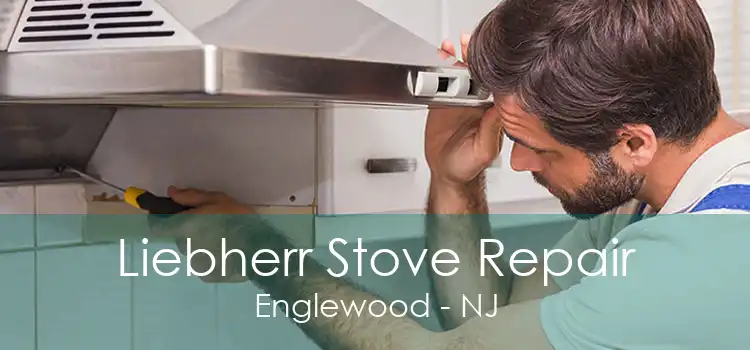 Liebherr Stove Repair Englewood - NJ