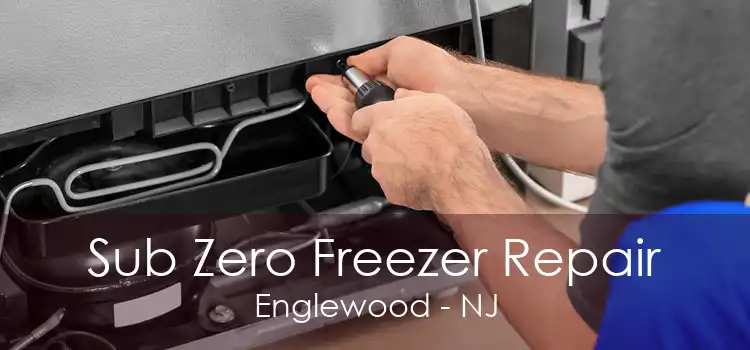 Sub Zero Freezer Repair Englewood - NJ