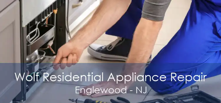 Wolf Residential Appliance Repair Englewood - NJ